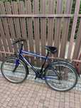 Rower Kross Mountain City Grand