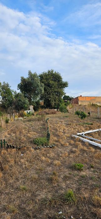 Terreno rústico em salreu, Estarreja