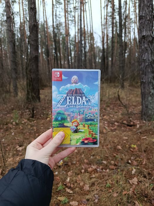 Гра на Nintendo switch The legend of Zelda Link's Awakening