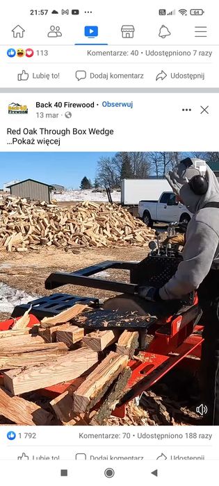 Wycinka drzew niskie ceny