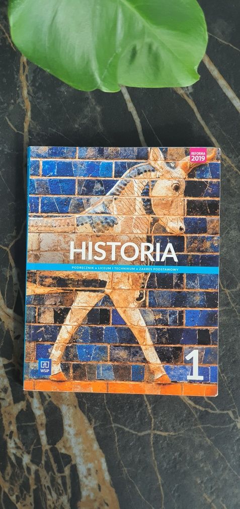 Historia 1 / zakres podstawowy / WSiP