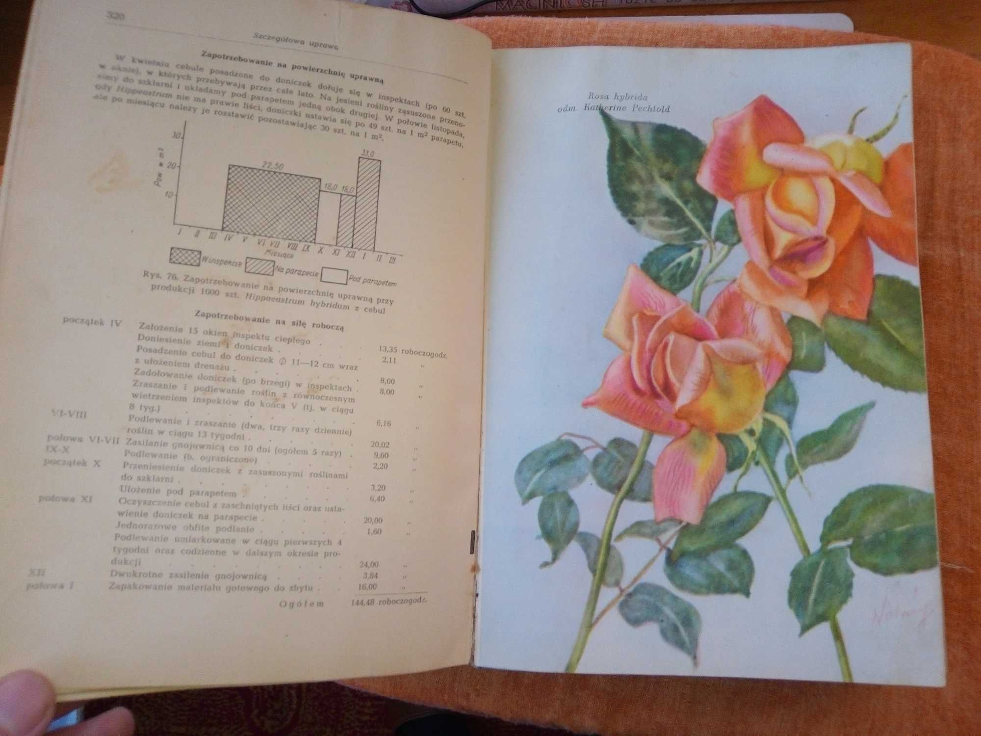 Uprawa roślin ozdobnych - S Wóycicki (1957) 1040 stron