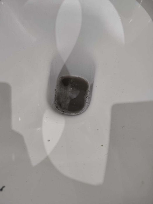 ALUGO Máquina de Limpeza – BISSELL SpotClean ProHeat