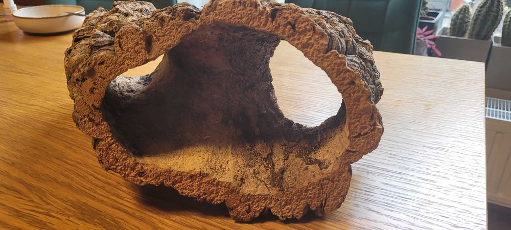 Korzeń do terrarium