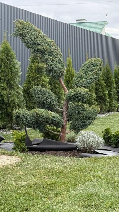 Продається будинок, поблизу ТЦ Подоляни