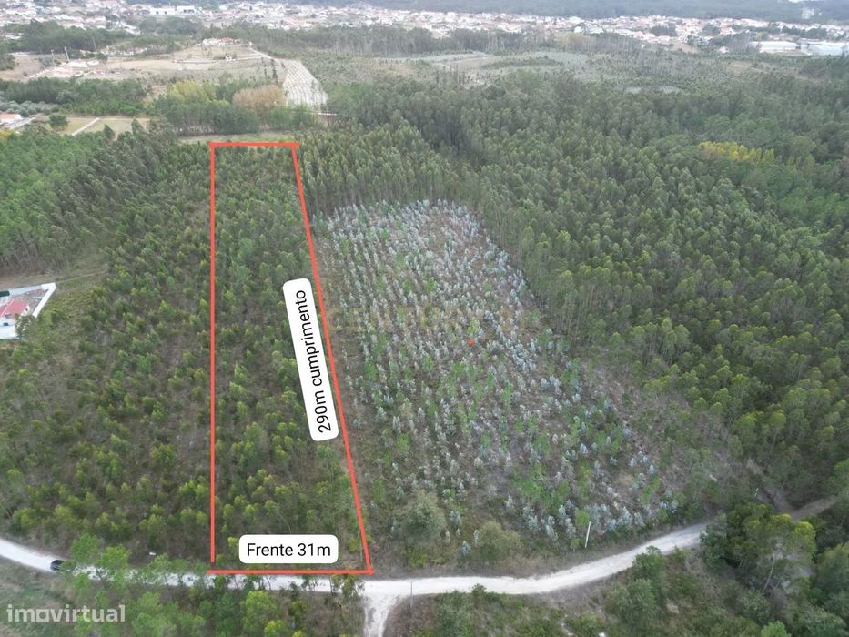 Terreno de 9.275 m² à Venda - Oportunidade de Investimento em Zona Ver