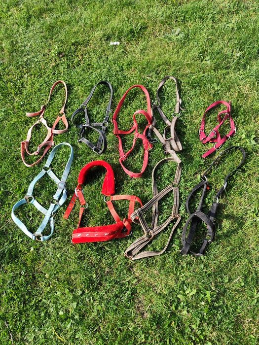 Sprzedam różne kantary