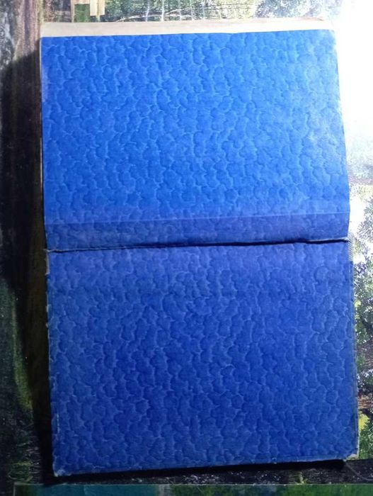 Шульгин В.В. Дни. 1927