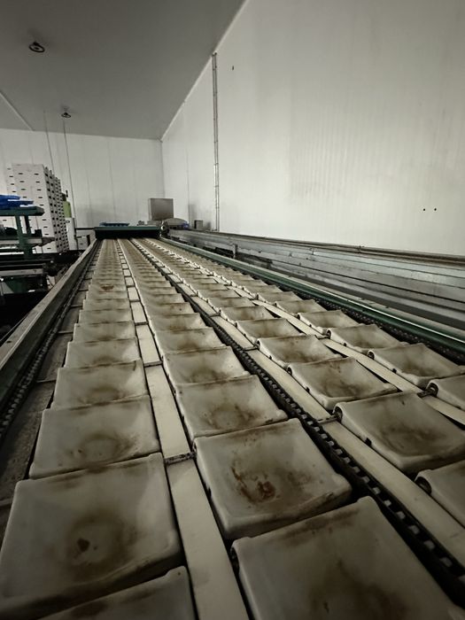 Calibrador  macas greefa