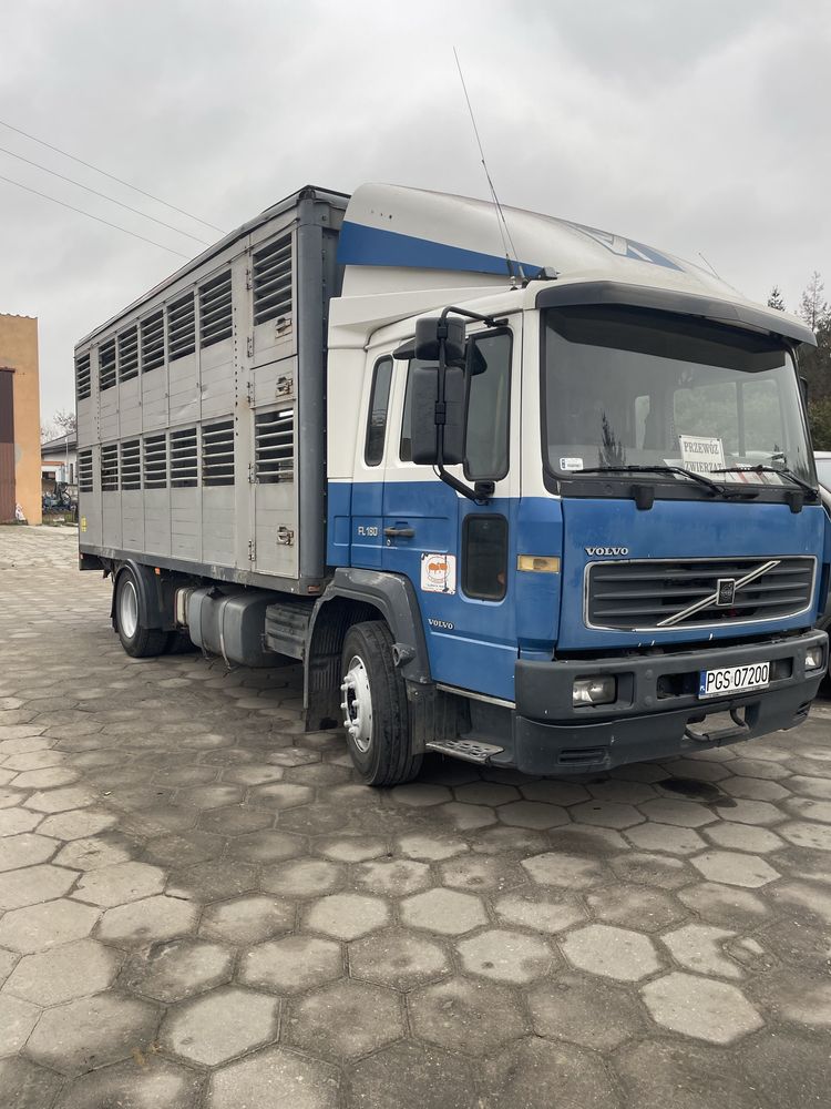 Volvo FL614 do przewozu żywca