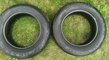 opony 2 sztuki 195/65r15 zimowe NEXEN
