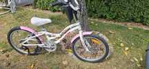 Rower Merida Lemur 20'