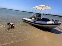 Barco Semi-Rígido CAPELLI TEMPEST 2017 + Motor Honda 50cv – Impecável!