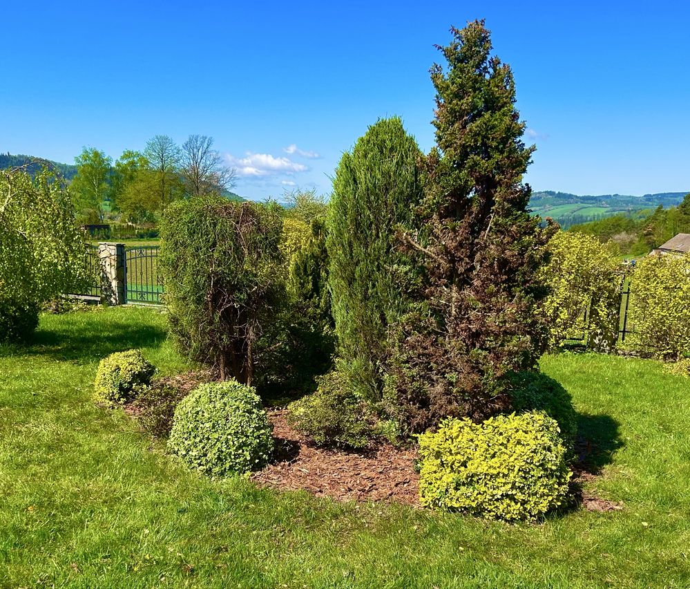 Usługi Ogrodnicze- Garden Master