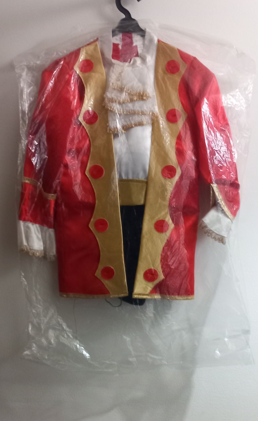 Fato de carnaval  pirata