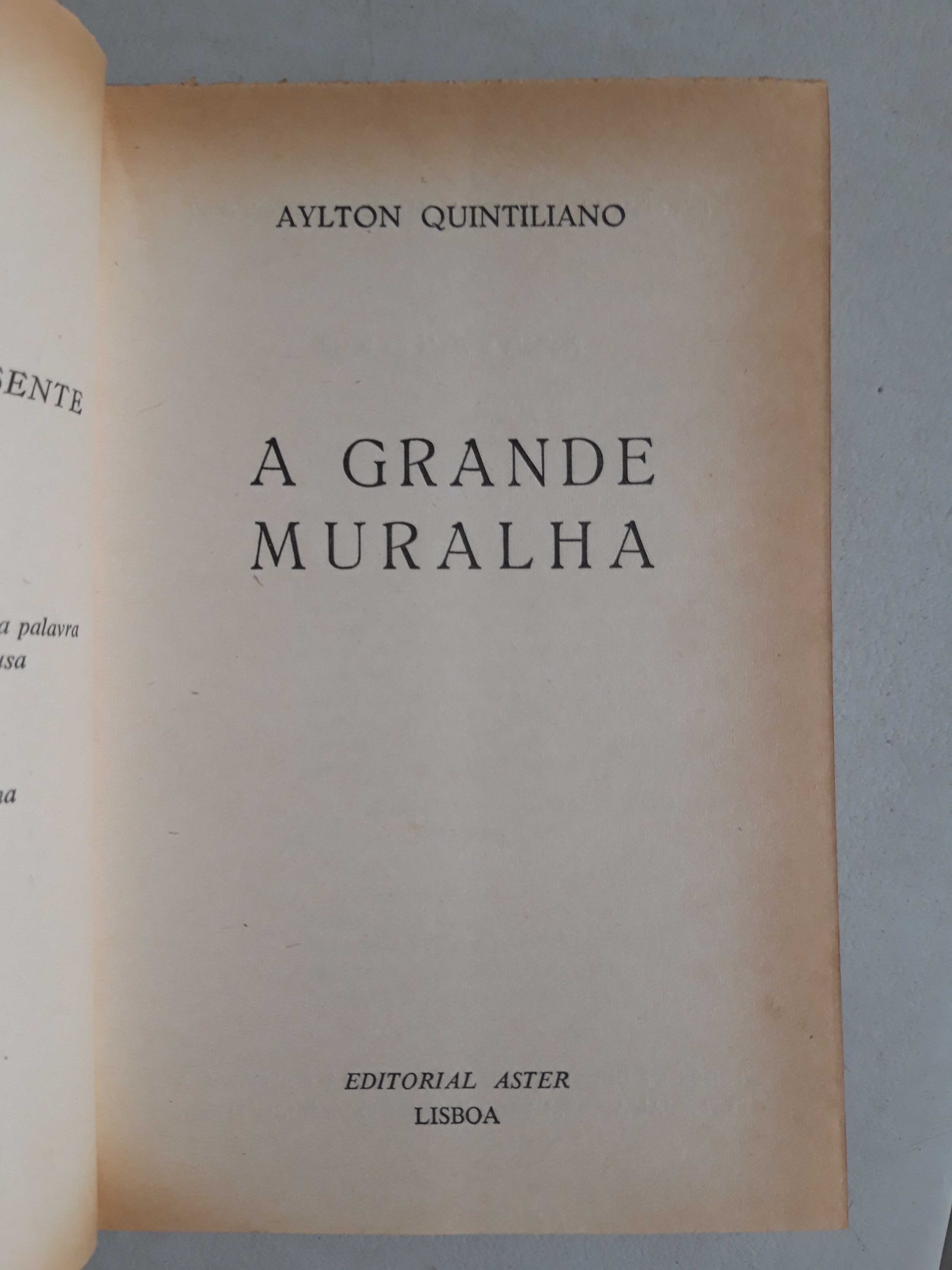 Livro PA-1 - Aylton Quintiliano - A Grande Muralha