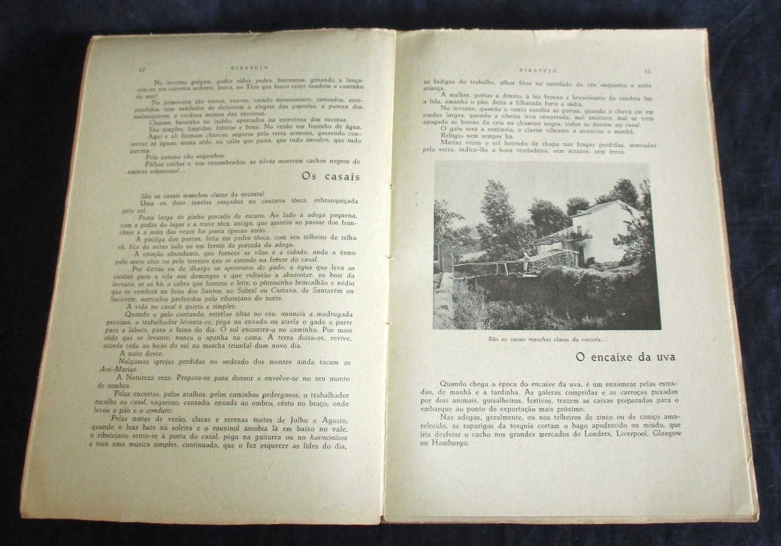 Livro Ribatejo Francisco Câncio 1934