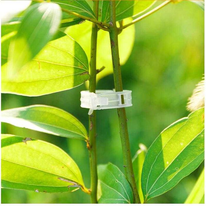 Argolas Grampo Plástico para fixação de plantas *** NOVO ***
