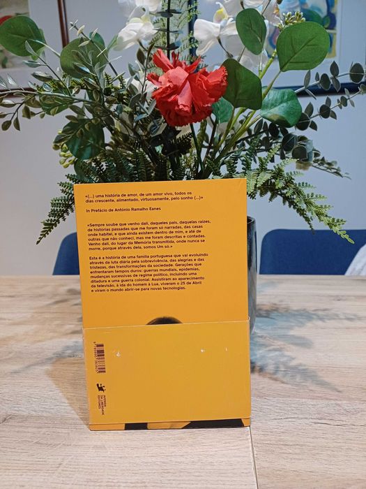 O Infinito Está nos Olhos do Outro