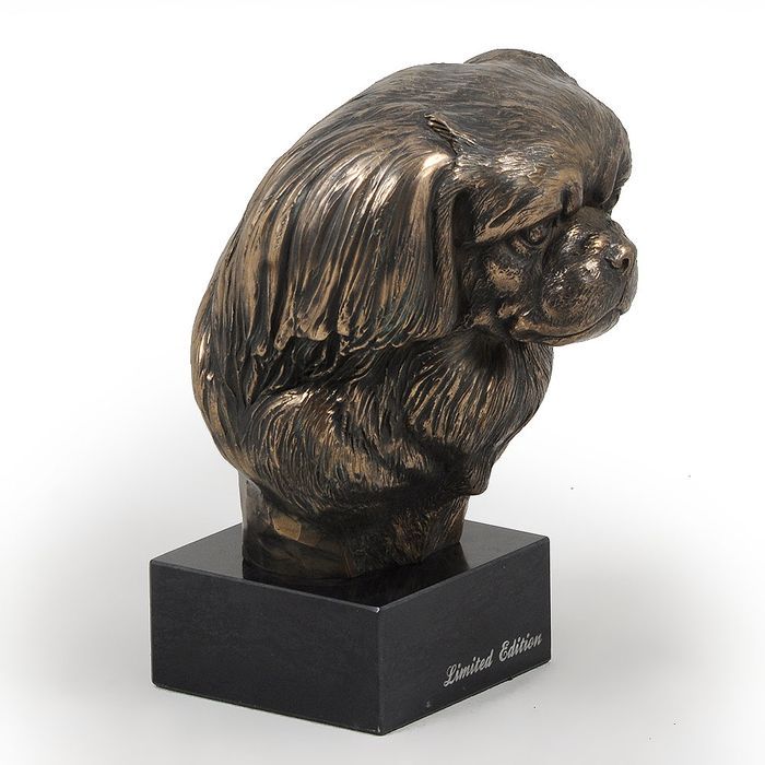 Spaniel tybetański głowa na kamieniu Art-Dog