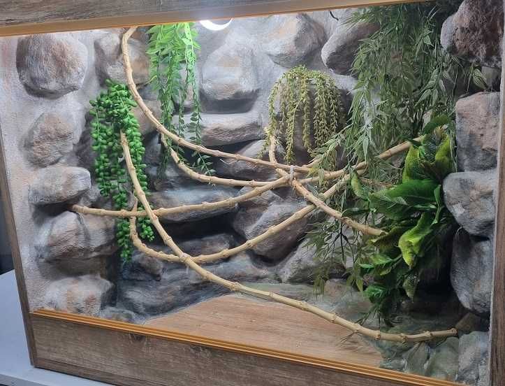Gotowe terrarium  dla kameleona 70x40x60 drewno retro