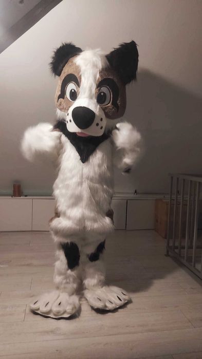 Żywe maskotki wynajem wysyłkowy strojów Misio Piesek Panda Kot Smok