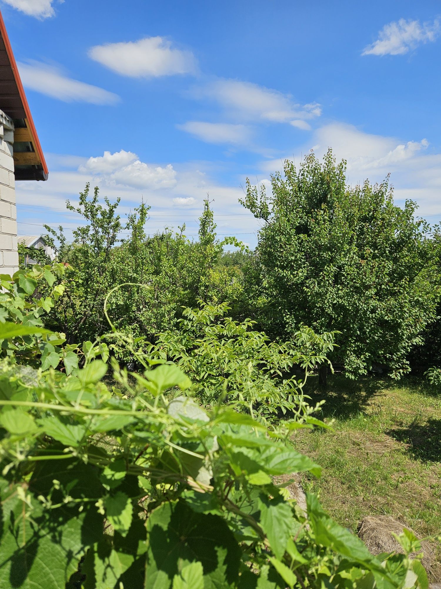 Продам дачу с/т Лазурь