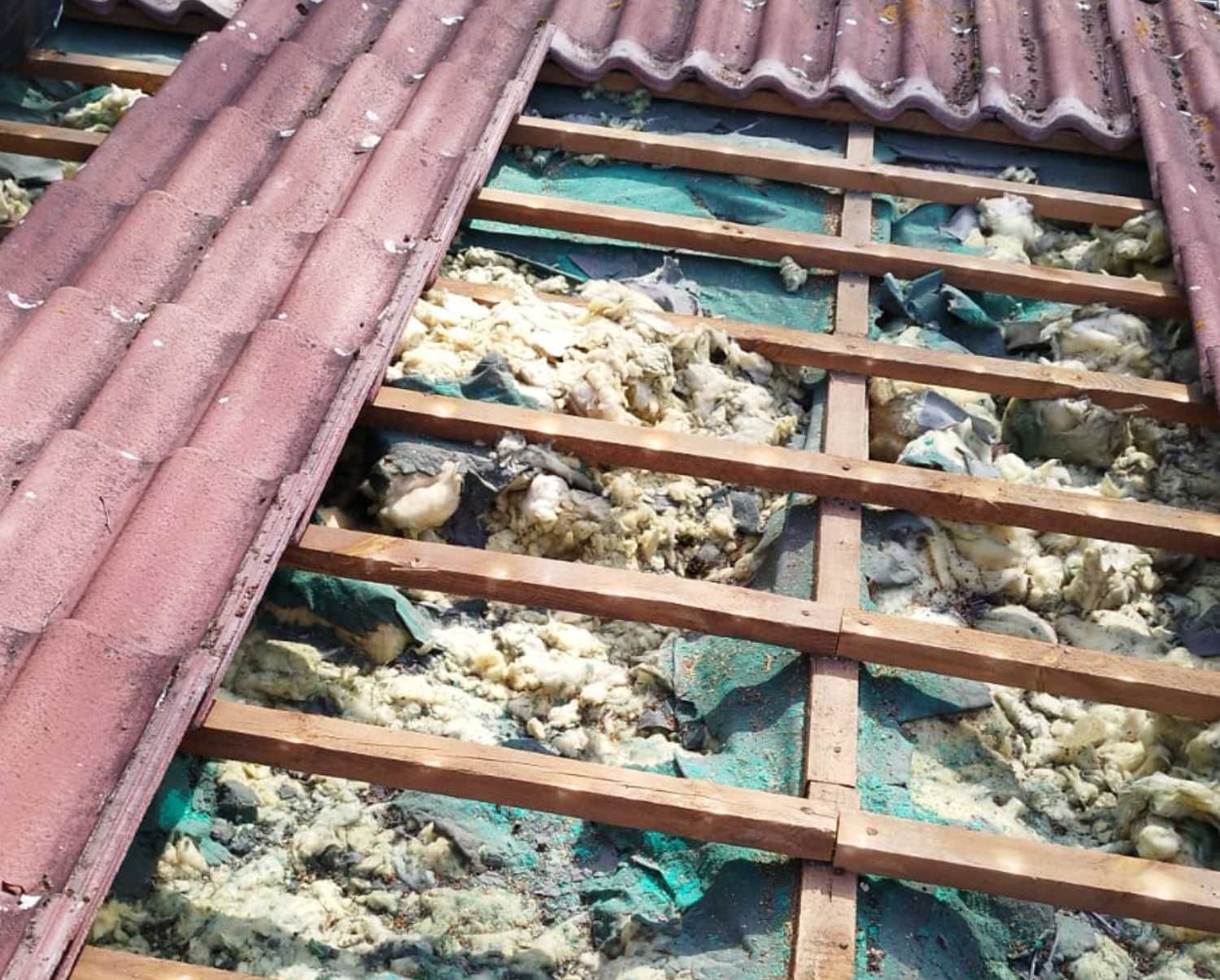 Naprawa dachu po kunie, naprawa izolacji po kunie, ocieplanie celulozą