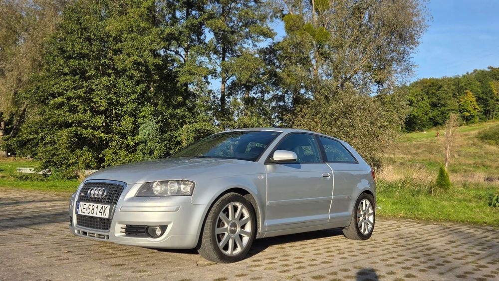 Audi A3 Audi A3 8P 2.0 FSI