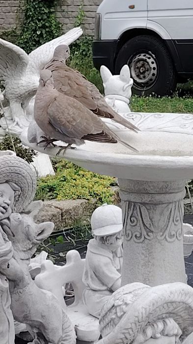 Poidełka dla ptaków