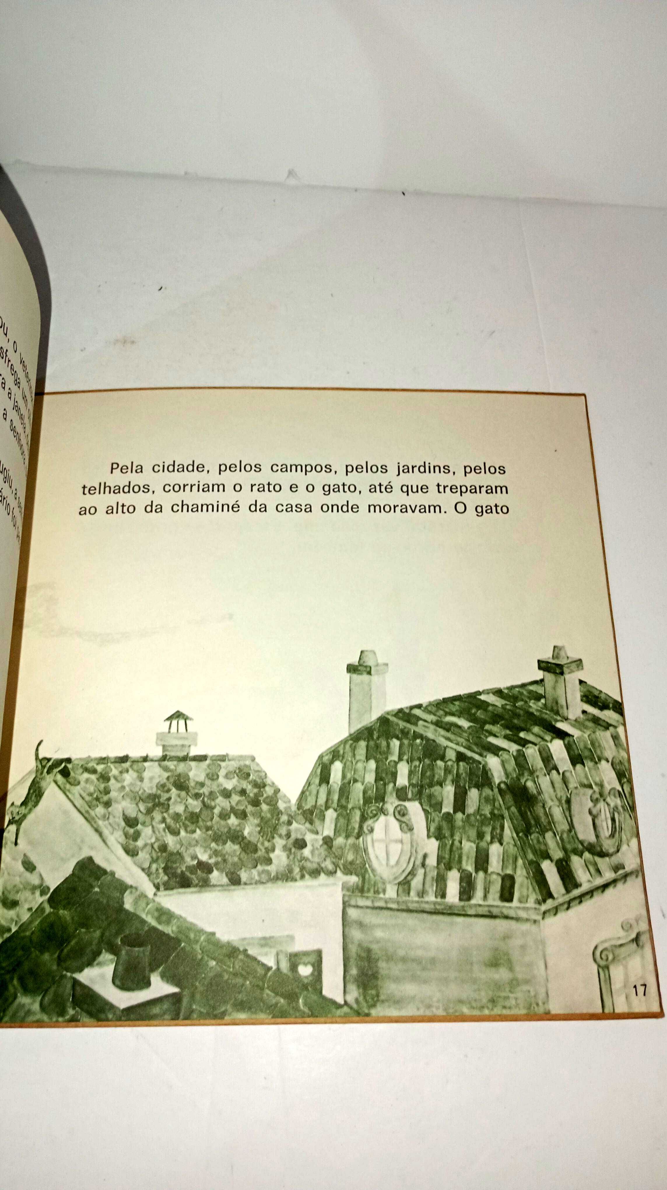 O Gato e o rato - Luísa Ducla Soares