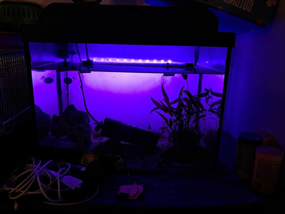 Akwarium 30 l plus lampa