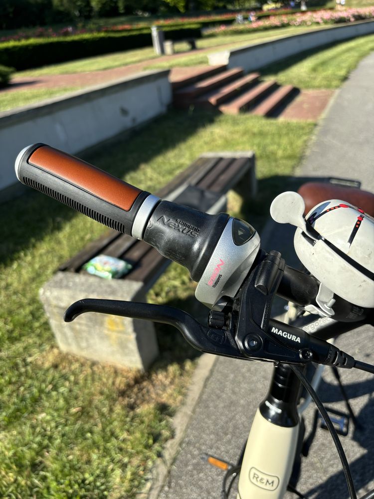 Rower Riese&Müller Swing