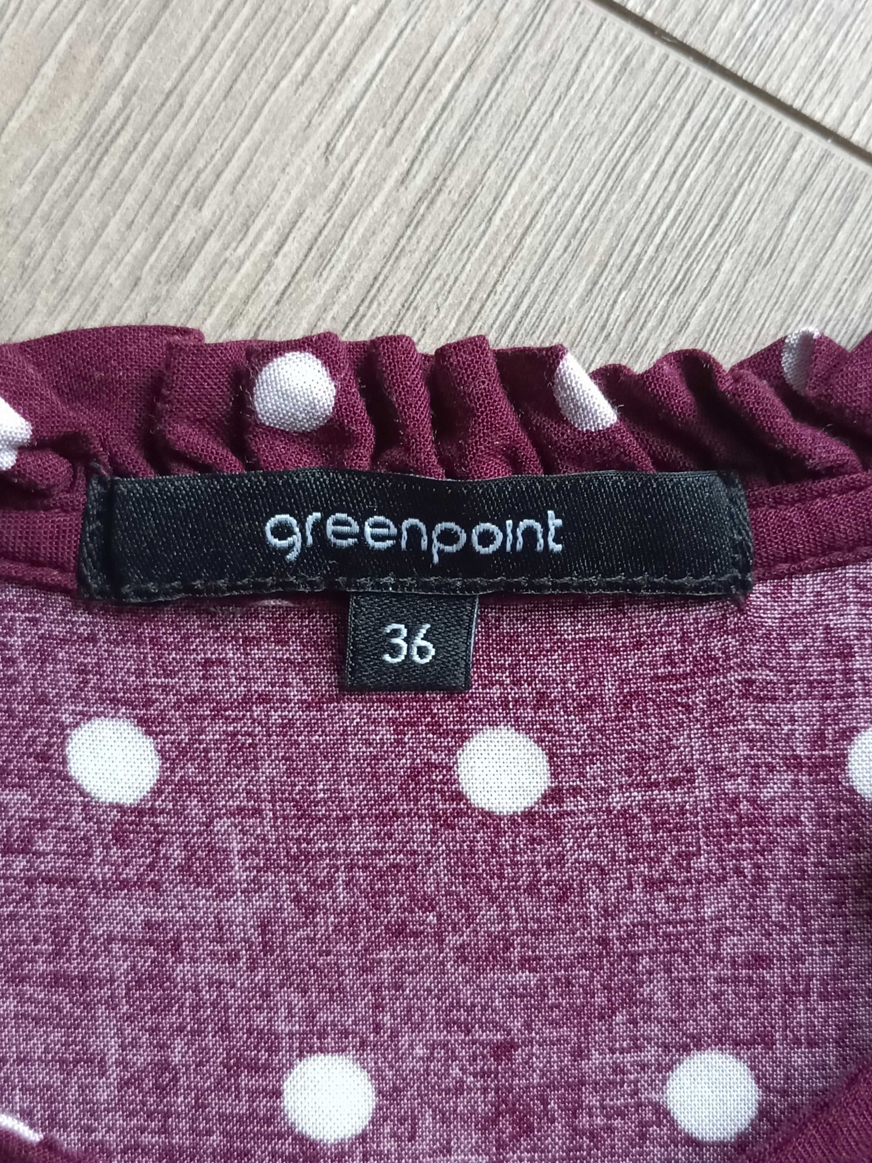 Bluzeczka w kropki Greenpoint 36