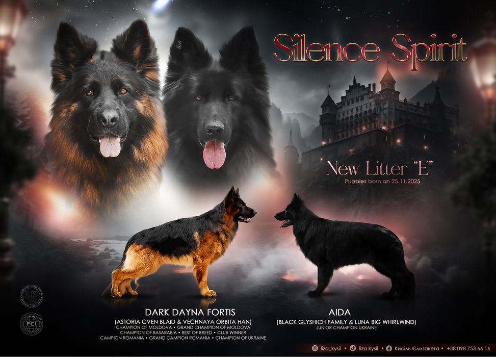 Цуценята німецької вівчарки чорного орасу КСУ