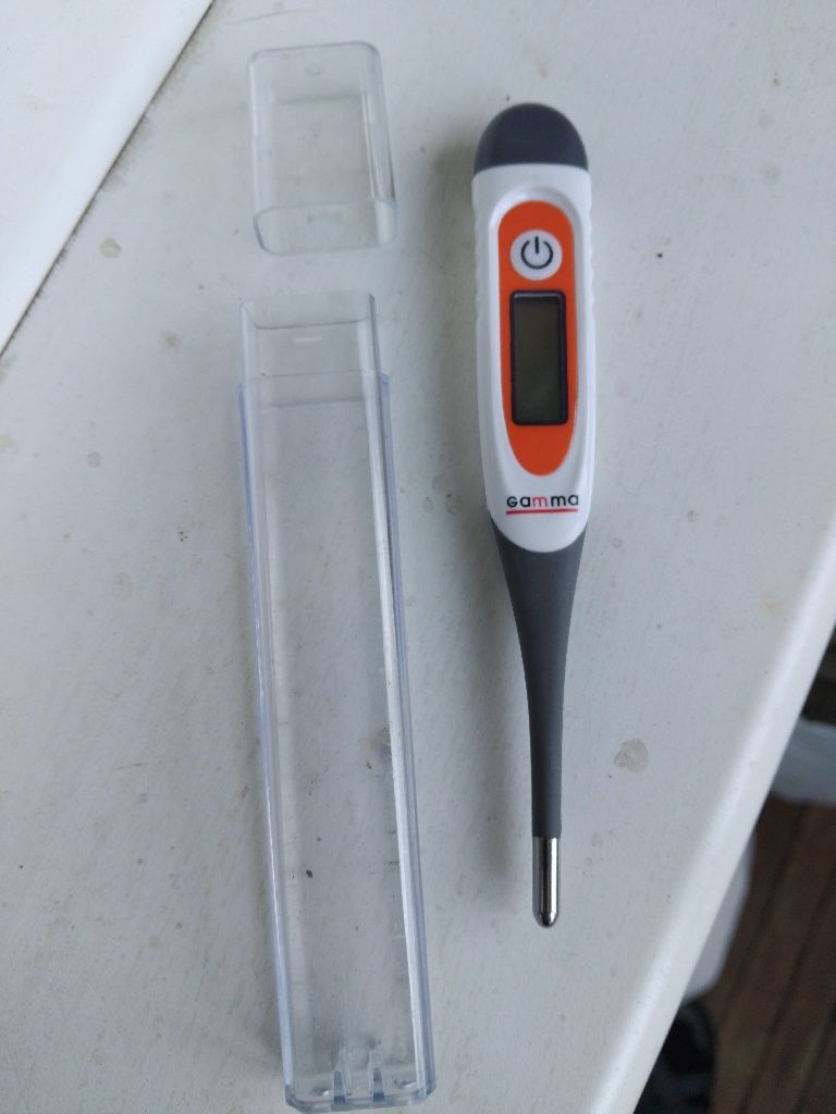 Электронный градусник GAMMA