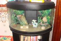 vendo aquario como novo