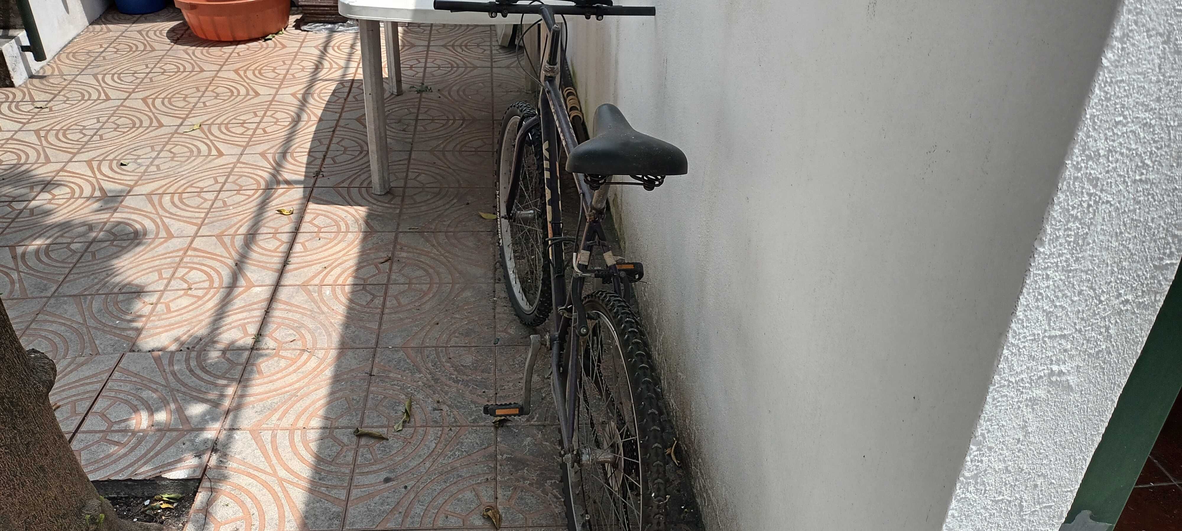 Bicicleta Vilar Roxa
