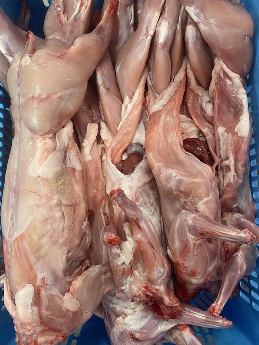 Тушку кролика, кролик