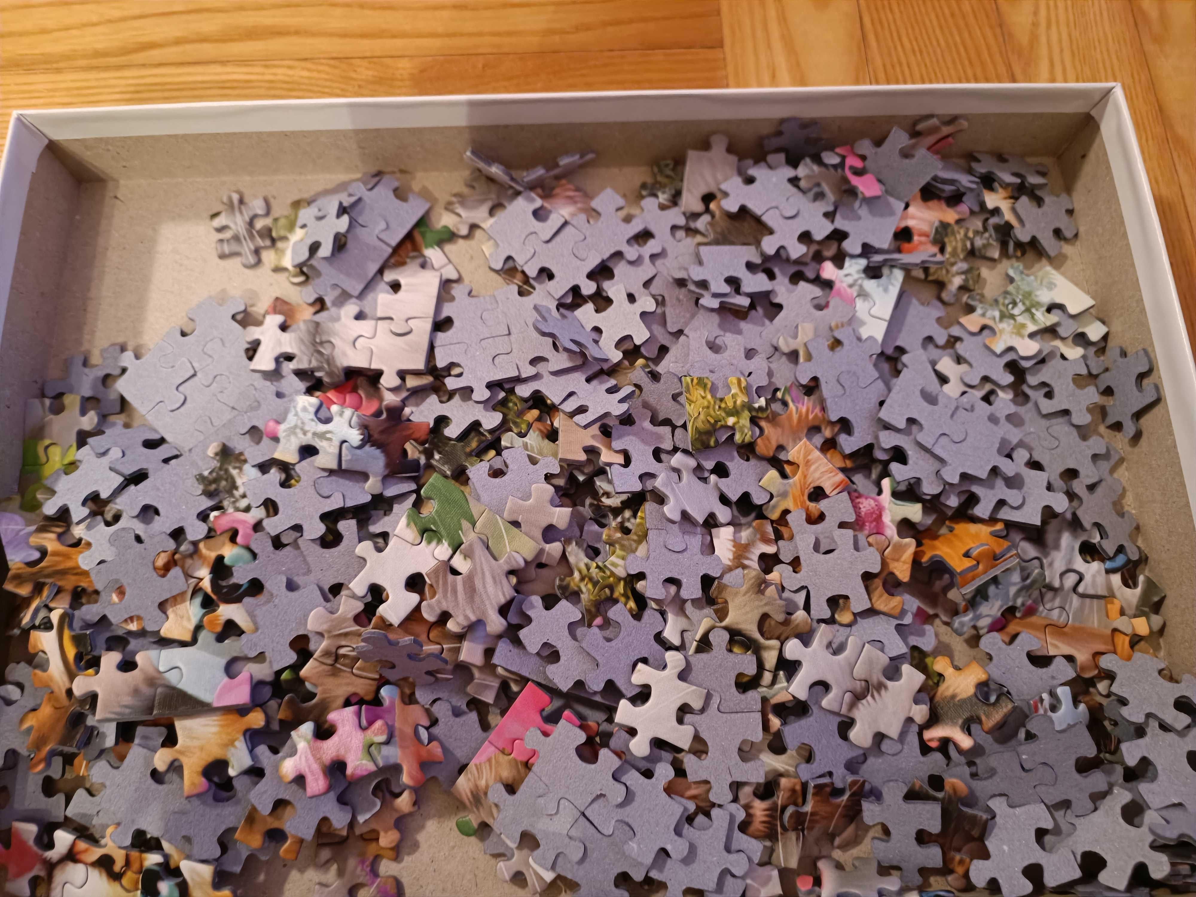 Puzzle koty Schmidt 500