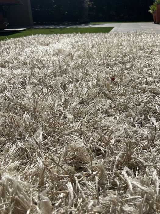 Carpete Branca 3m por 2m