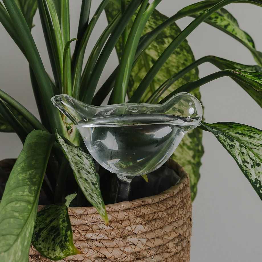 Nawadniacz do roślin szklany ptak na wodę home and you