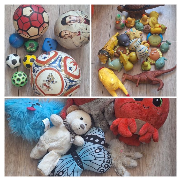 Zestaw zabawek dla psa