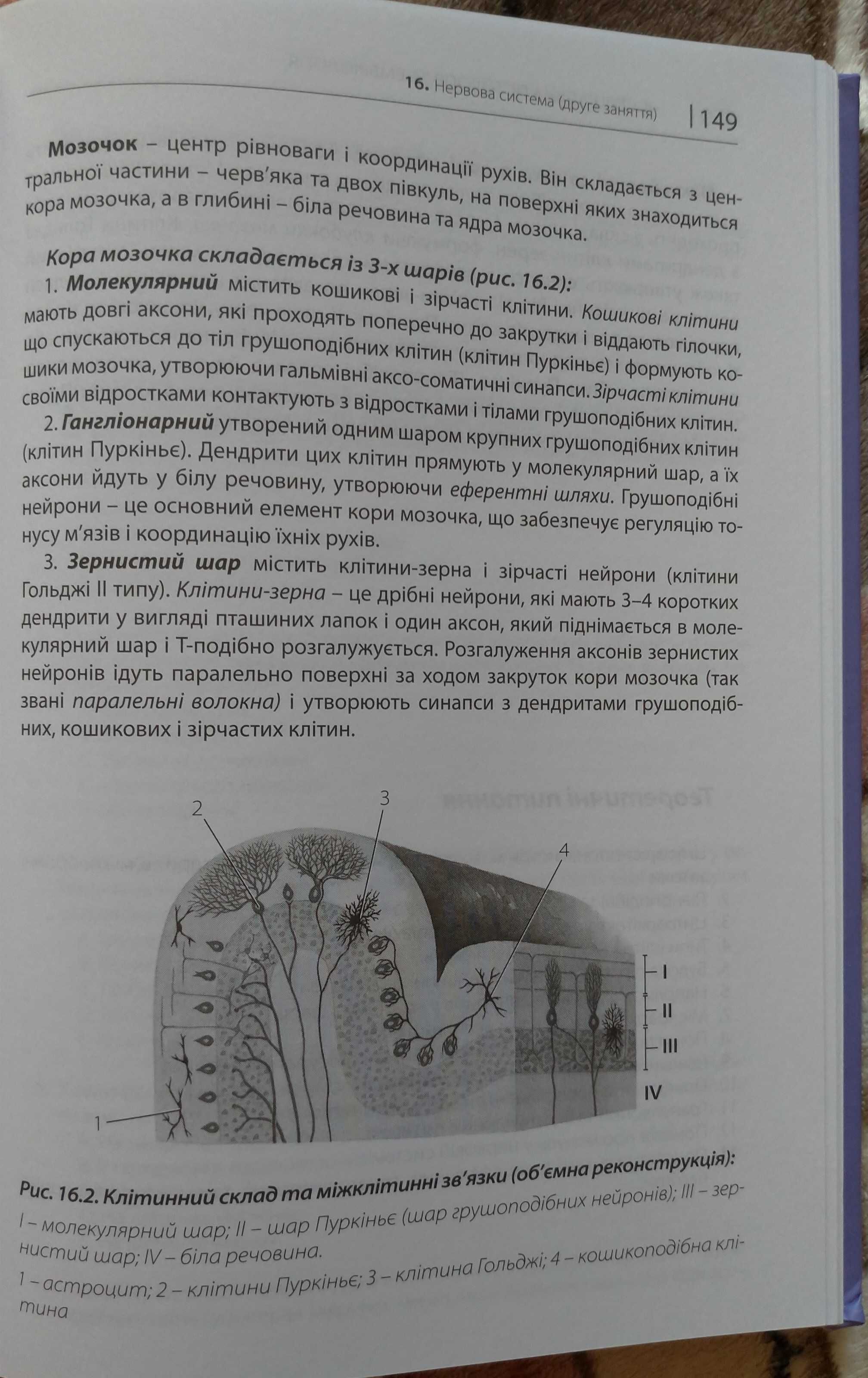 Короткий курс з гістології Ю.Б.Чайковський