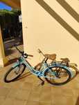 Bicicleta senhora estilo vintage