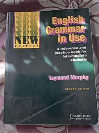 English grammar in use second edition