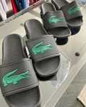Chinelo Lacoste BR