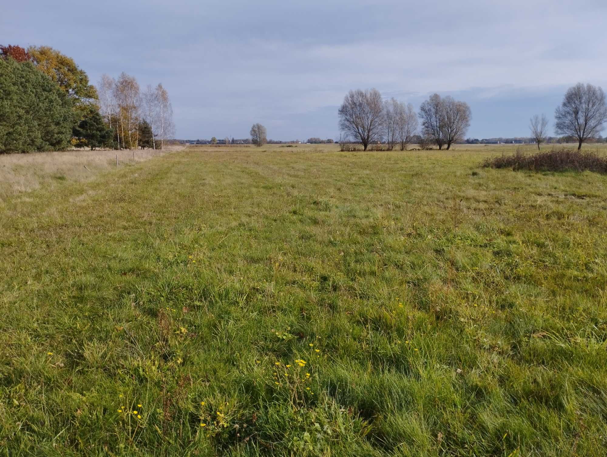 Działka rolno-budowlana