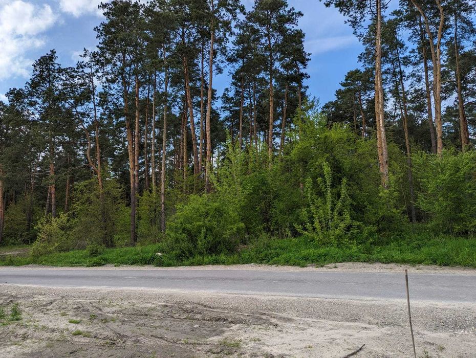 Piekna Działka 16 ar Annopol ul, Leśna blisko lasu i rzeki Wisły