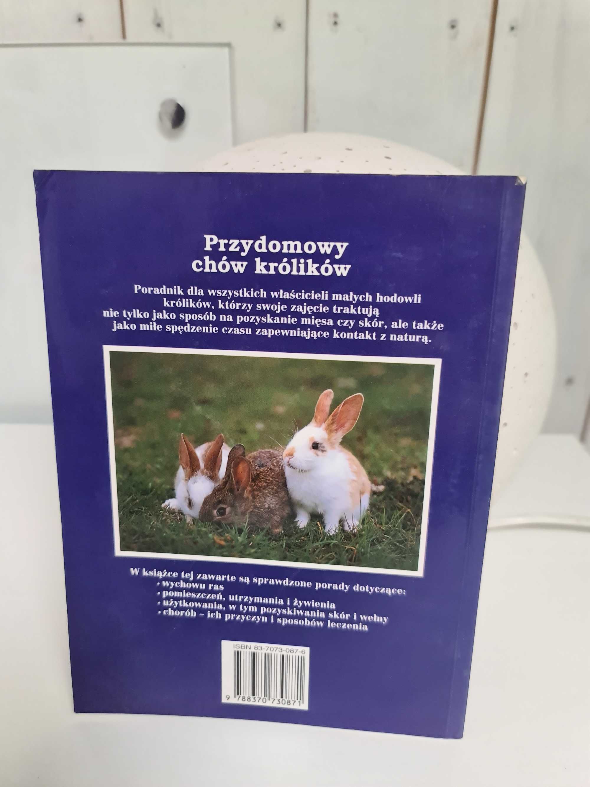 Przydomowy chów królików Alice Stern